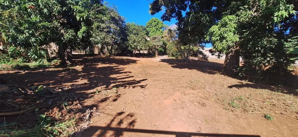 Casa, 3 quartos, 3411 m² - Foto 6