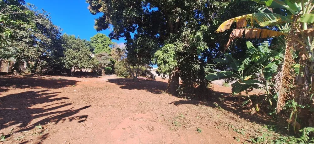 Casa, 3 quartos, 3411 m² - Foto 4