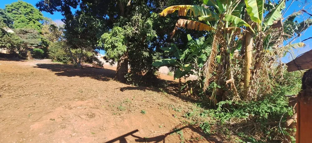 Casa, 3 quartos, 3411 m² - Foto 3