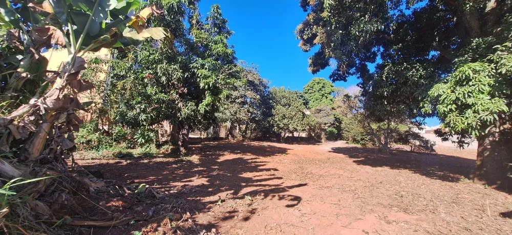 Casa, 3 quartos, 3411 m² - Foto 7