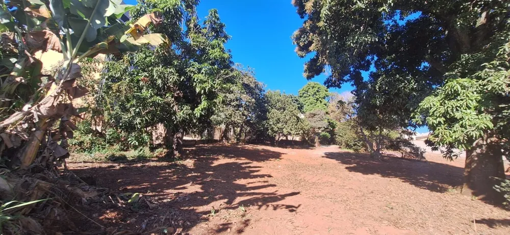 Casa, 3 quartos, 3411 m² - Foto 5