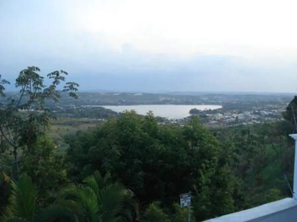 Casa, 4 quartos, 452 m² - Foto 12