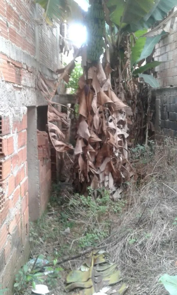 Terreno, 250 m² - Foto 10