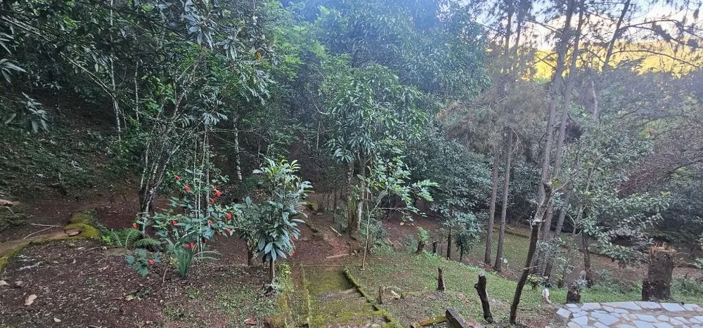 Chácara, 4 quartos - Foto 5