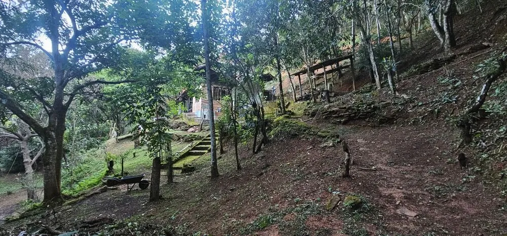 Chácara, 4 quartos - Foto 7