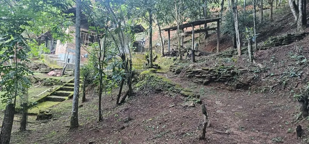 Sítio, 4 quartos, 5800 m² - Foto 13
