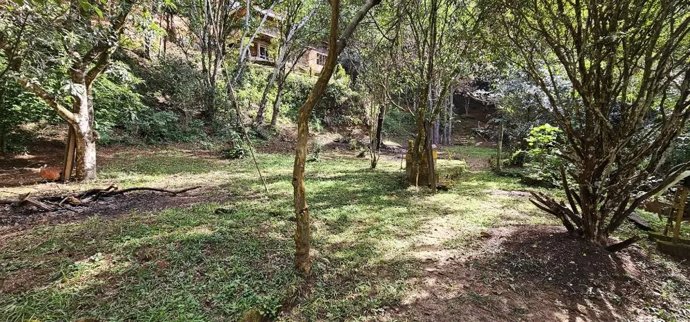 Sítio, 4 quartos, 5800 m² - Foto 5