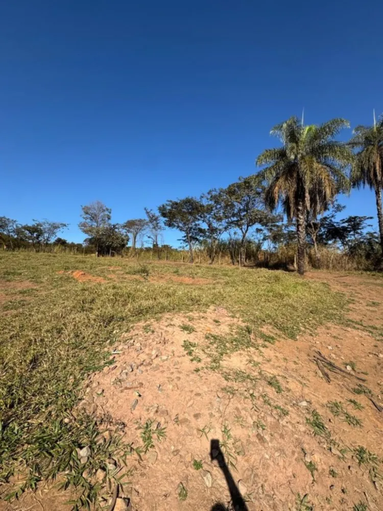 Terreno, 38365 m² - Foto 9