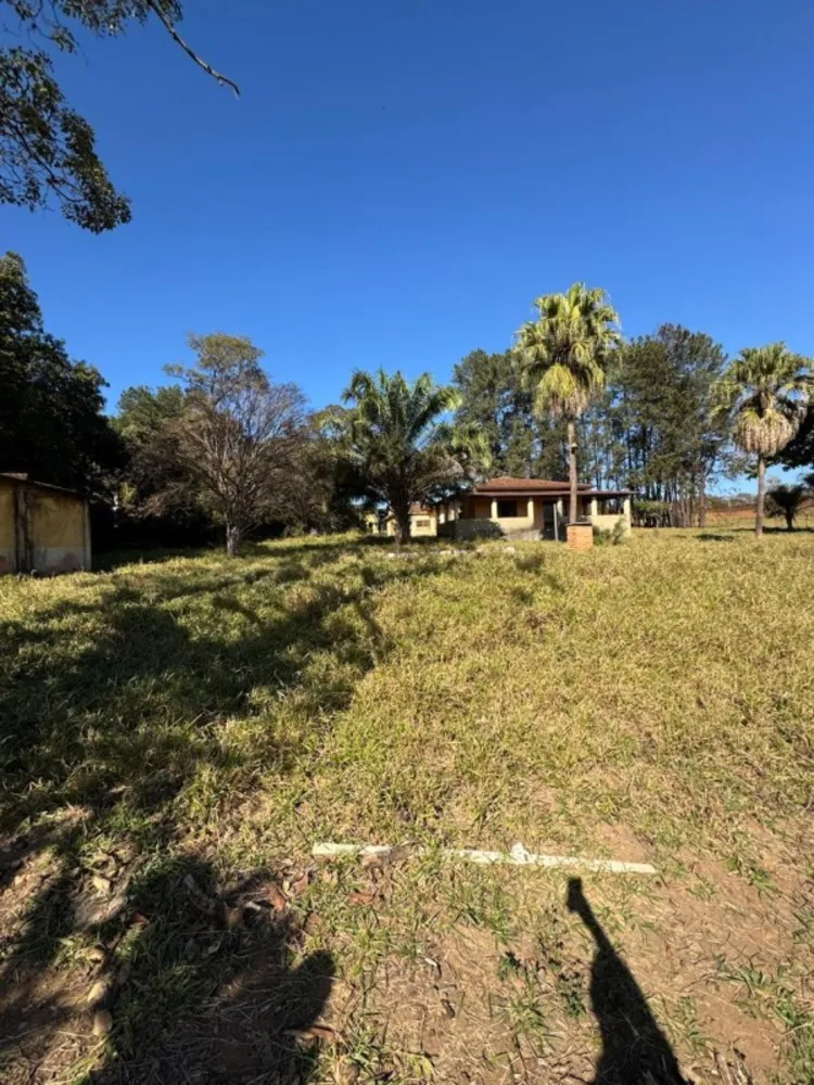 Terreno, 38365 m² - Foto 5