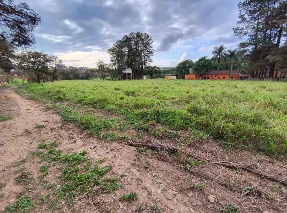 Terreno, 38365 m² - Foto 12