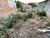 Terreno, 360 m² - Foto 5