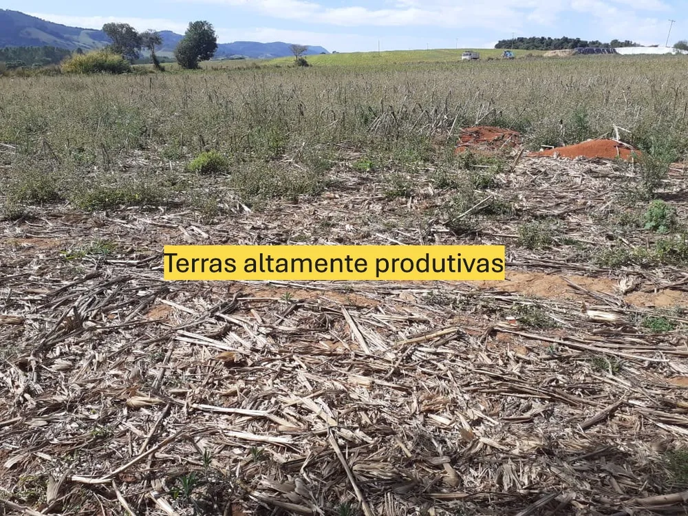 Fazenda, 164 hectares - Foto 8