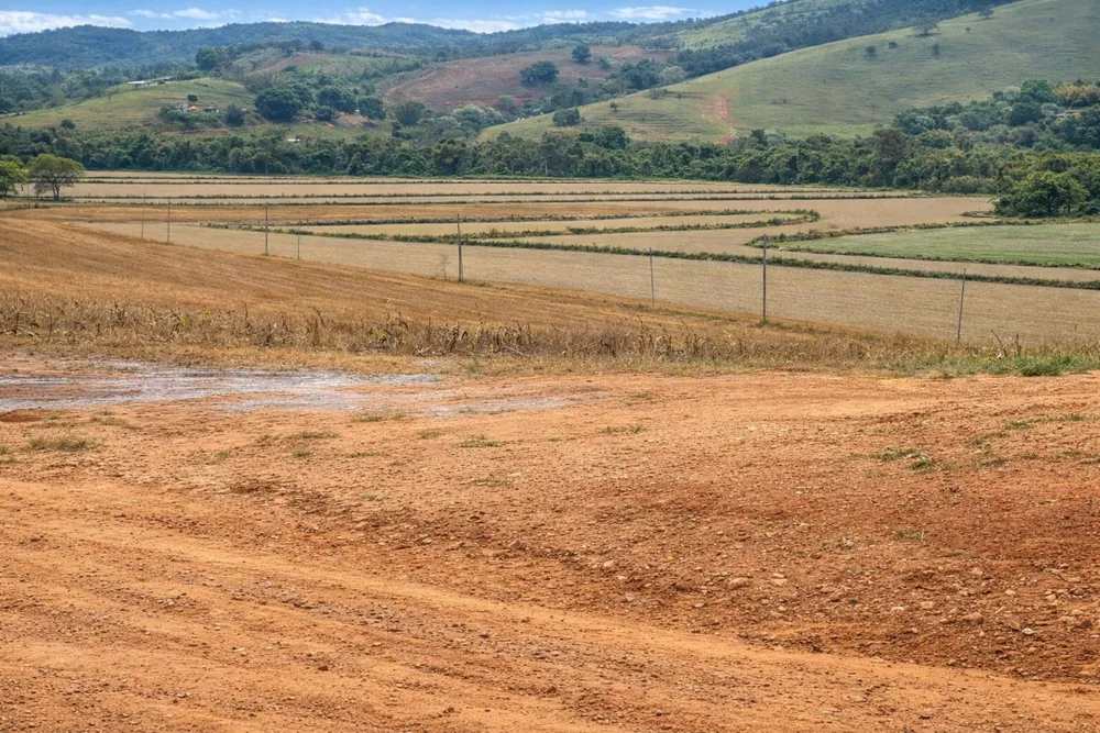 Fazenda, 164 hectares - Foto 7