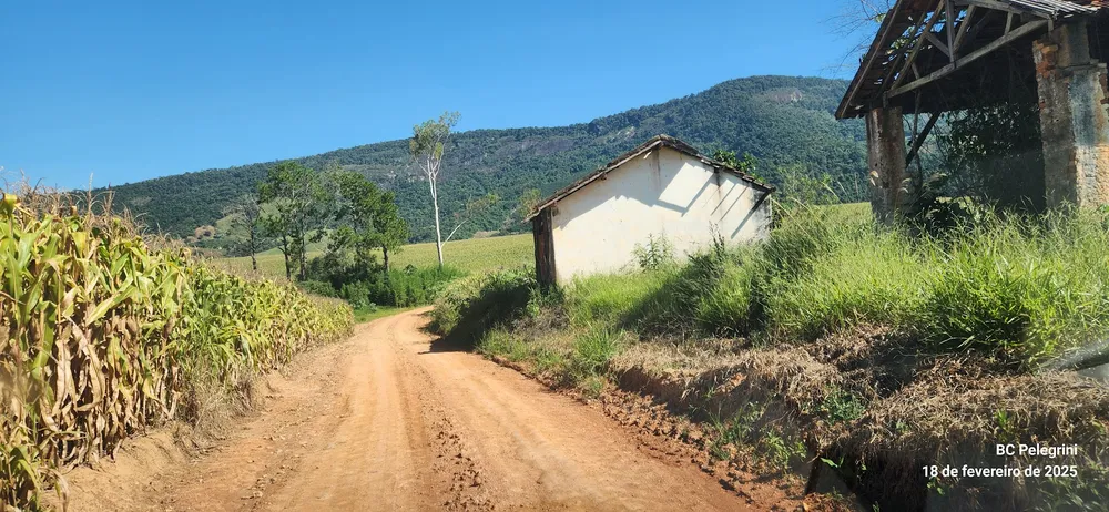Fazenda, 164 hectares - Foto 3