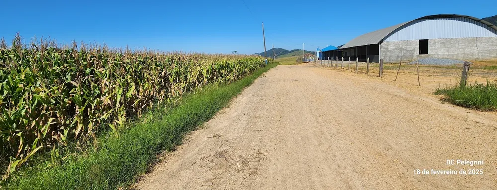 Fazenda, 164 hectares - Foto 4