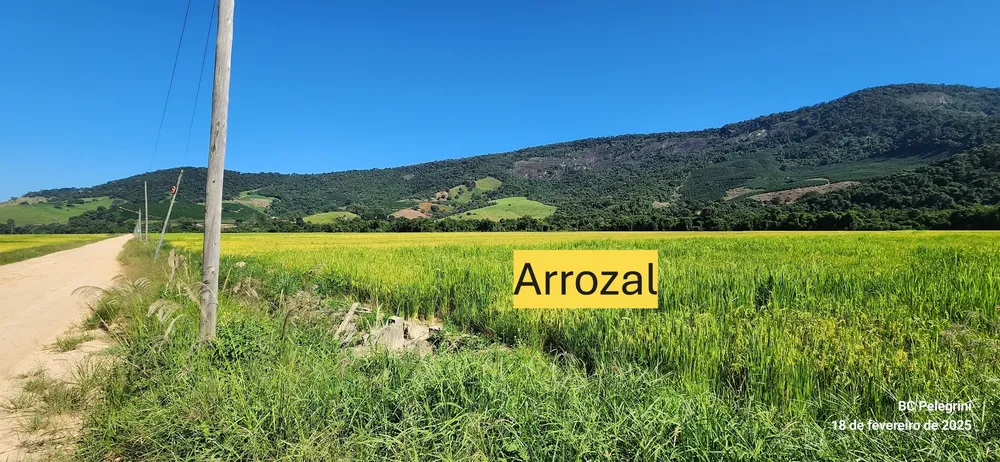Fazenda, 164 hectares - Foto 6