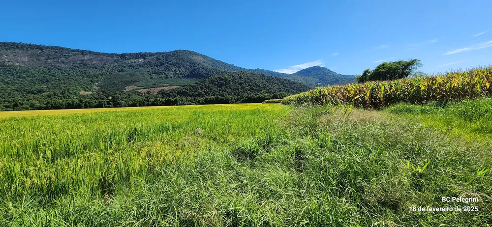 Fazenda, 164 hectares - Foto 2