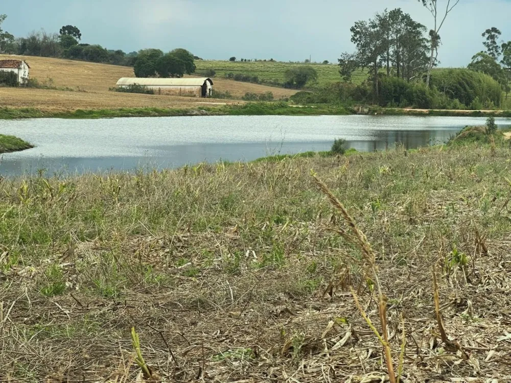 Fazenda, 164 hectares - Foto 2