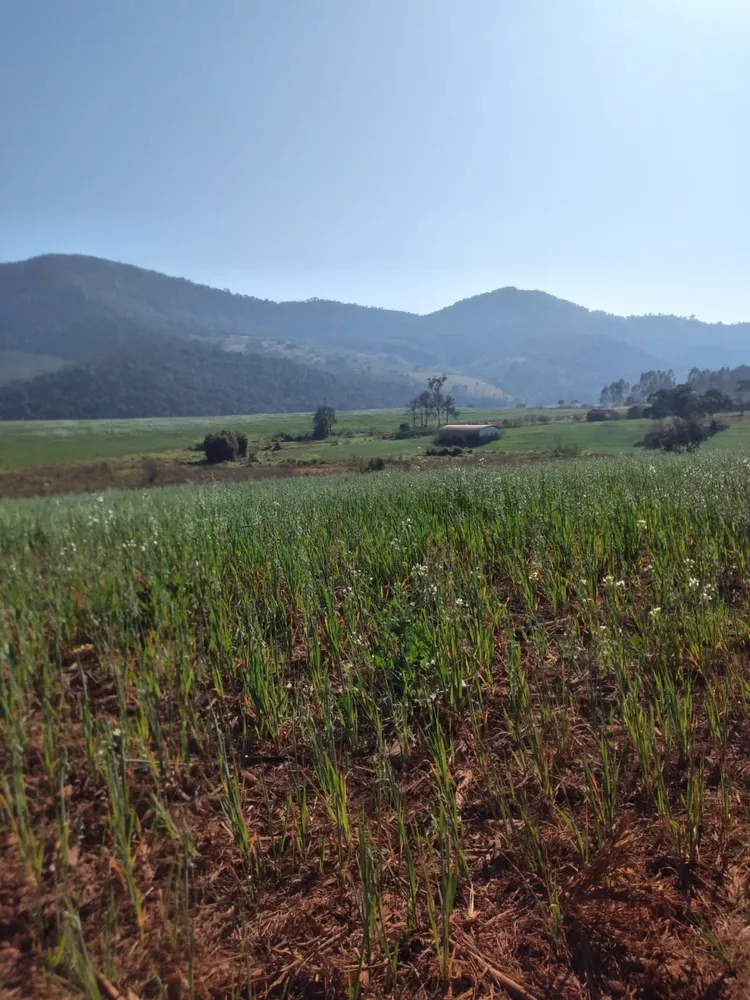 Fazenda, 164 hectares - Foto 1