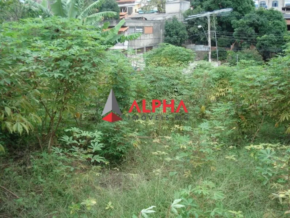 Terreno, 360 m² - Foto 4