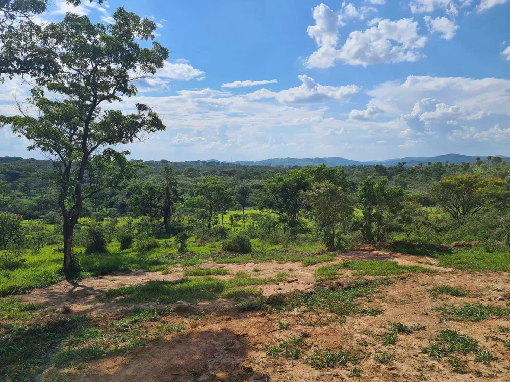Terreno, 5 hectares - Foto 9