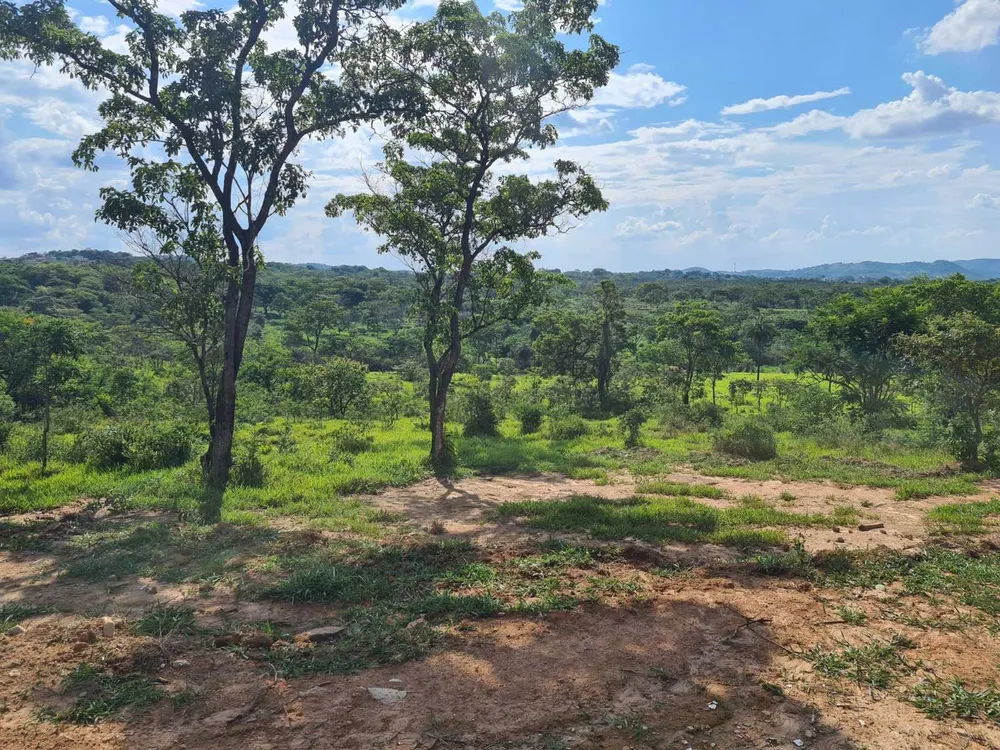 Terreno, 5 hectares - Foto 8