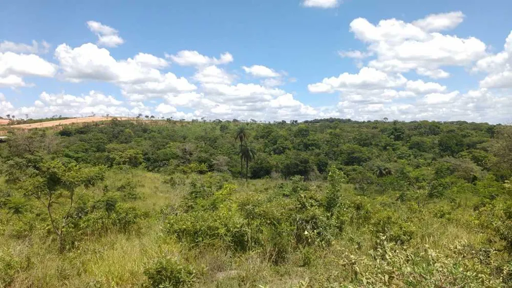 Terreno, 5 hectares - Foto 17