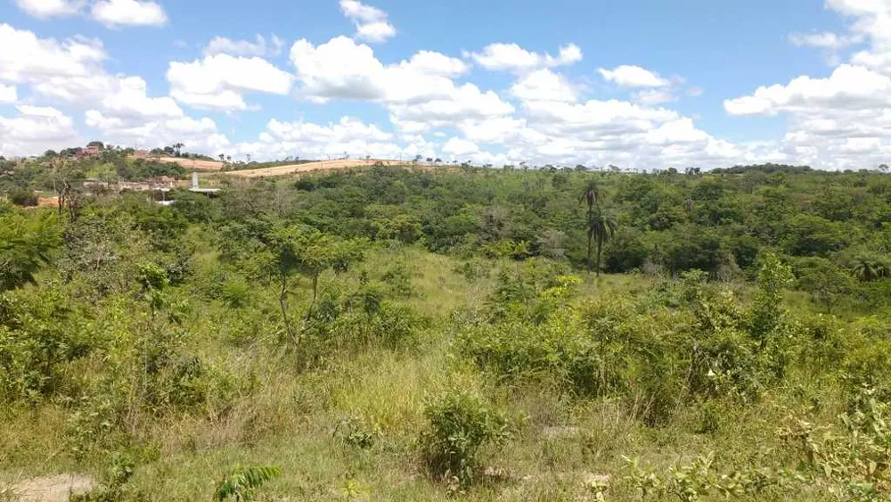 Terreno, 5 hectares - Foto 12