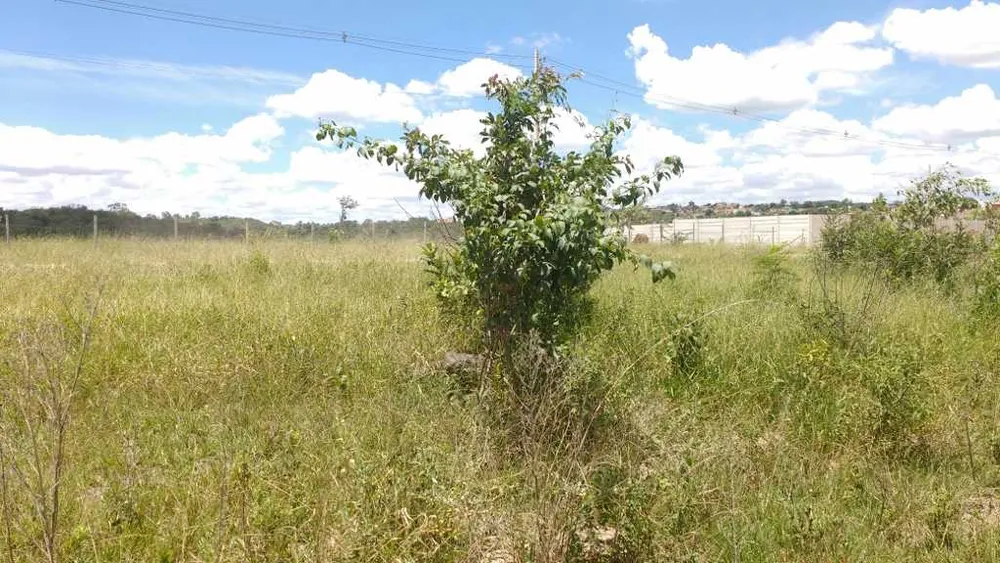 Terreno, 5 hectares - Foto 11