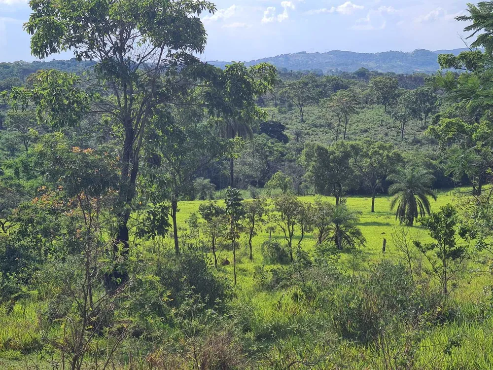 Terreno, 5 hectares - Foto 7