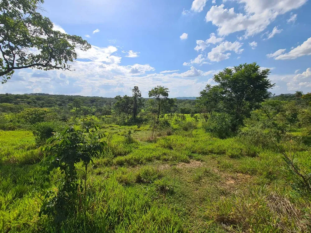 Terreno, 5 hectares - Foto 4