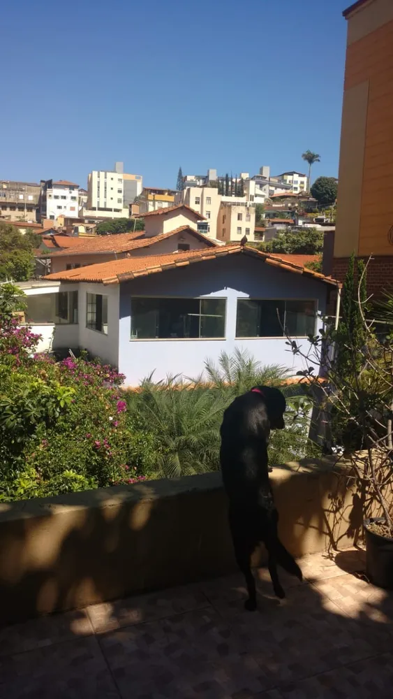 Casa, 3 quartos, 360 m² - Foto 12