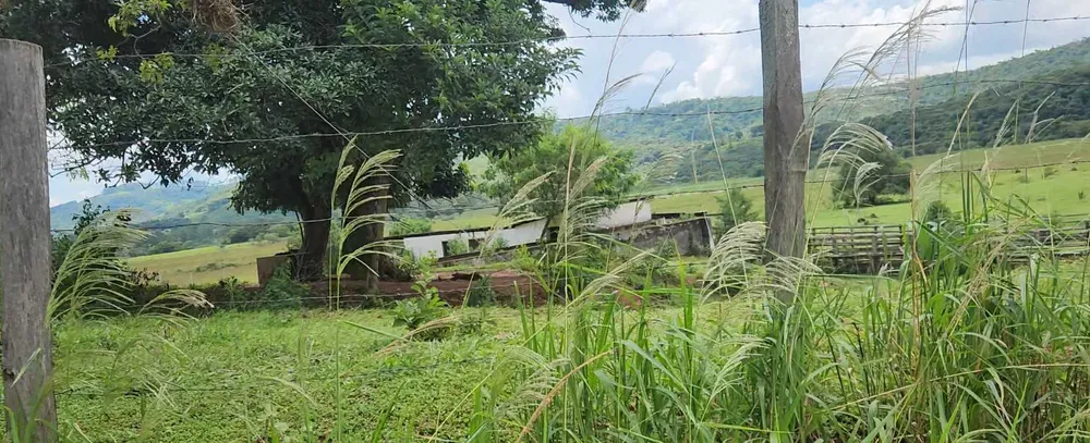 Terreno, 30 hectares - Foto 3
