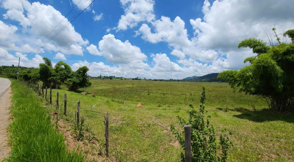 Terreno, 30 hectares - Foto 8