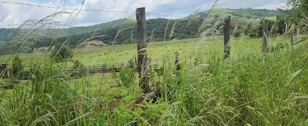 Terreno, 30 hectares - Foto 4
