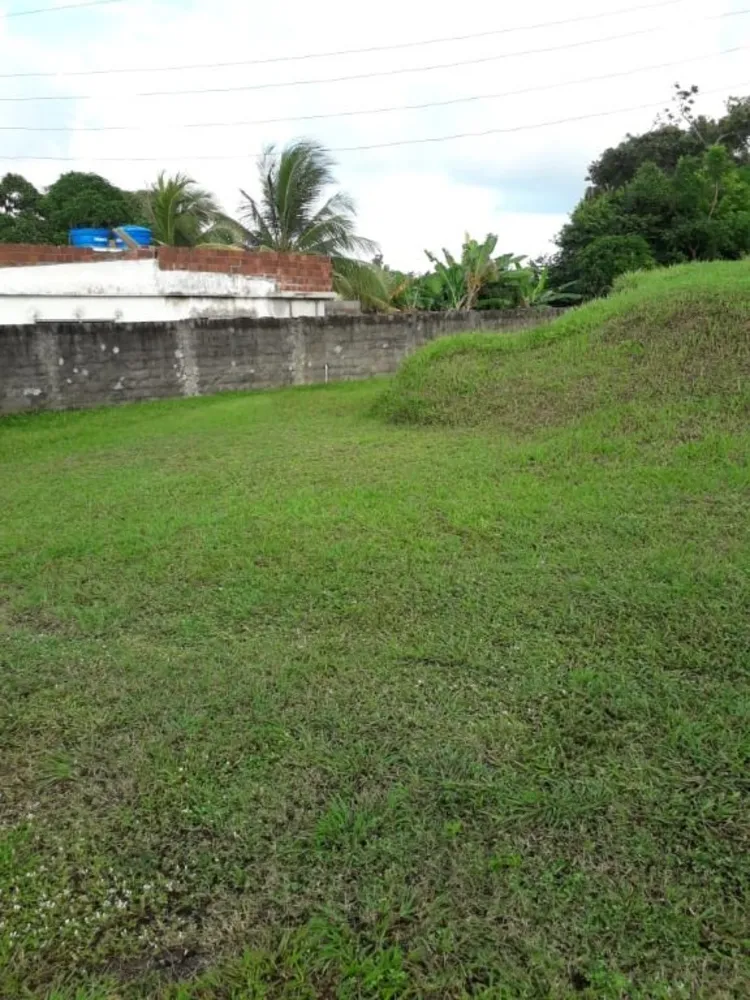 Terreno, 5000 m² - Foto 4