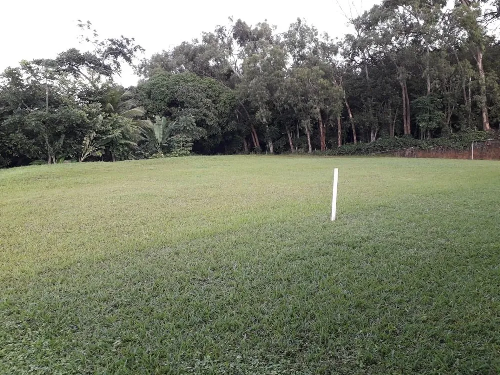 Terreno, 5000 m² - Foto 4