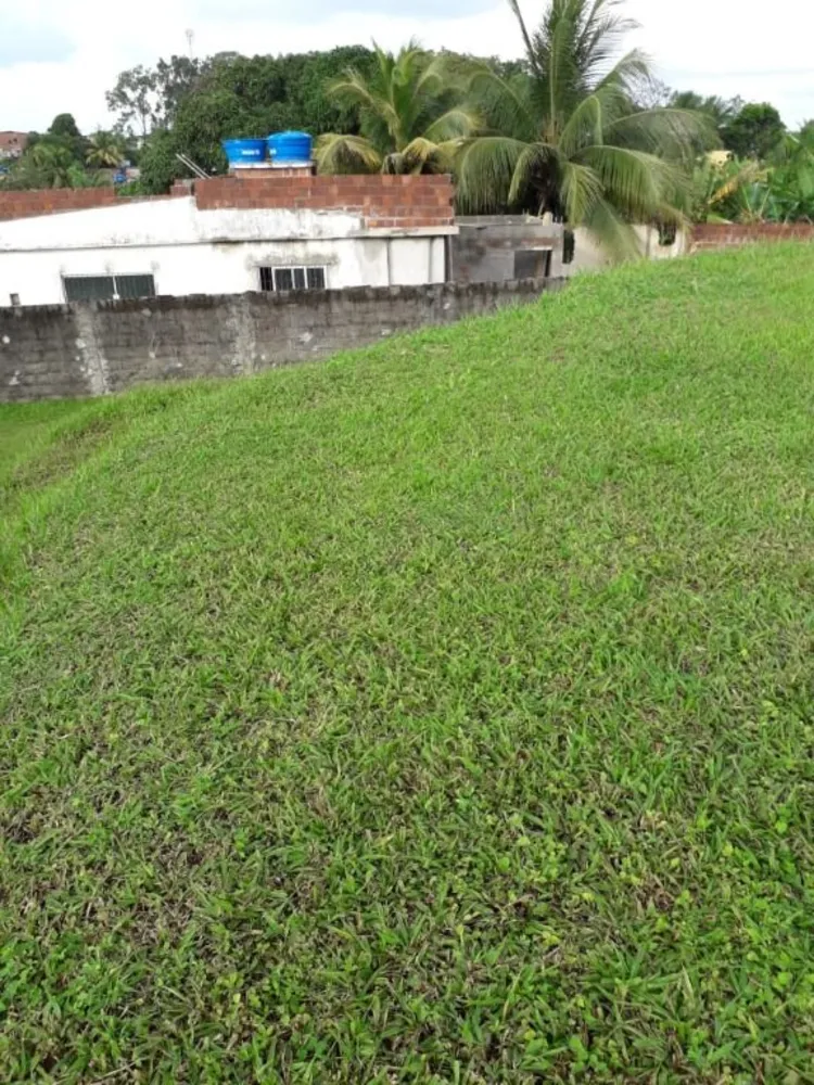 Terreno, 5000 m² - Foto 5