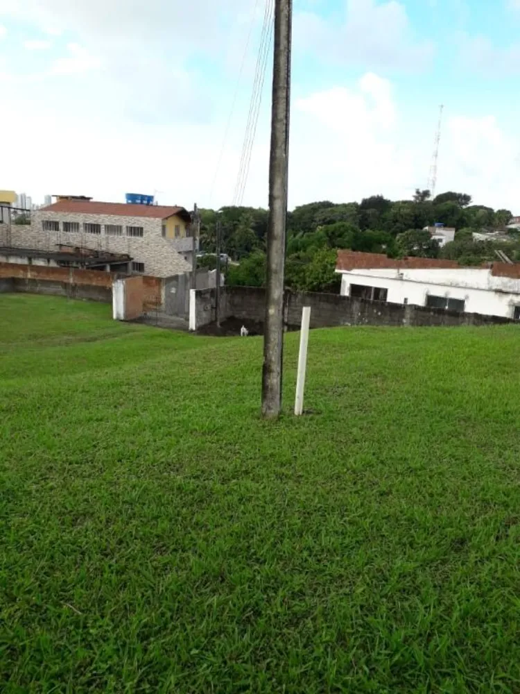 Terreno, 5000 m² - Foto 1