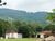 Sítio, 3 quartos, 41 hectares - Foto 4