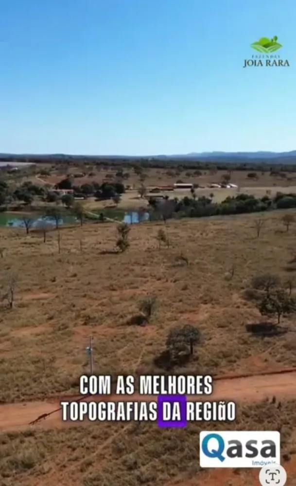 Terreno, 2 hectares - Foto 6