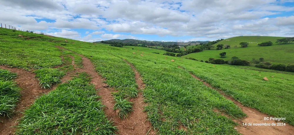 Fazenda, 3 quartos - Foto 7