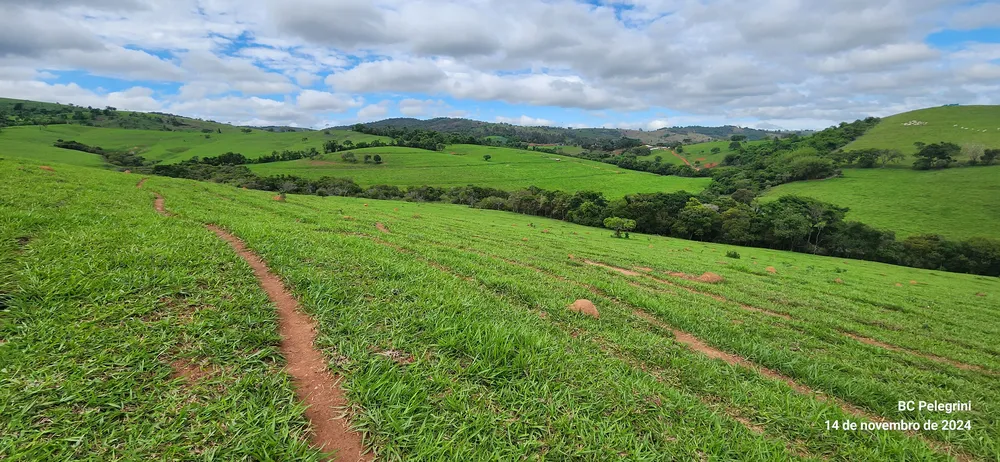 Fazenda, 3 quartos - Foto 5