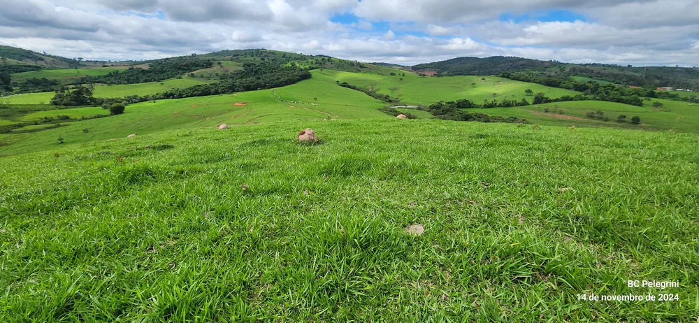 Fazenda, 3 quartos - Foto 12