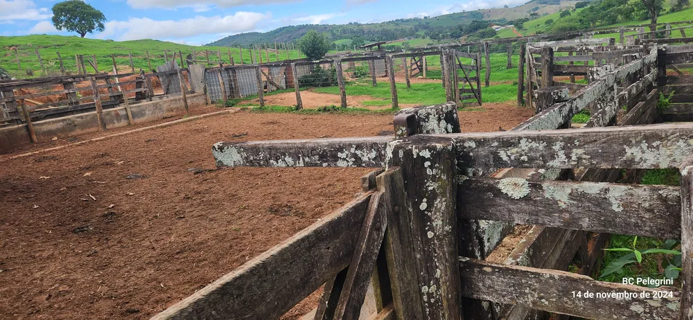 Fazenda, 3 quartos - Foto 21