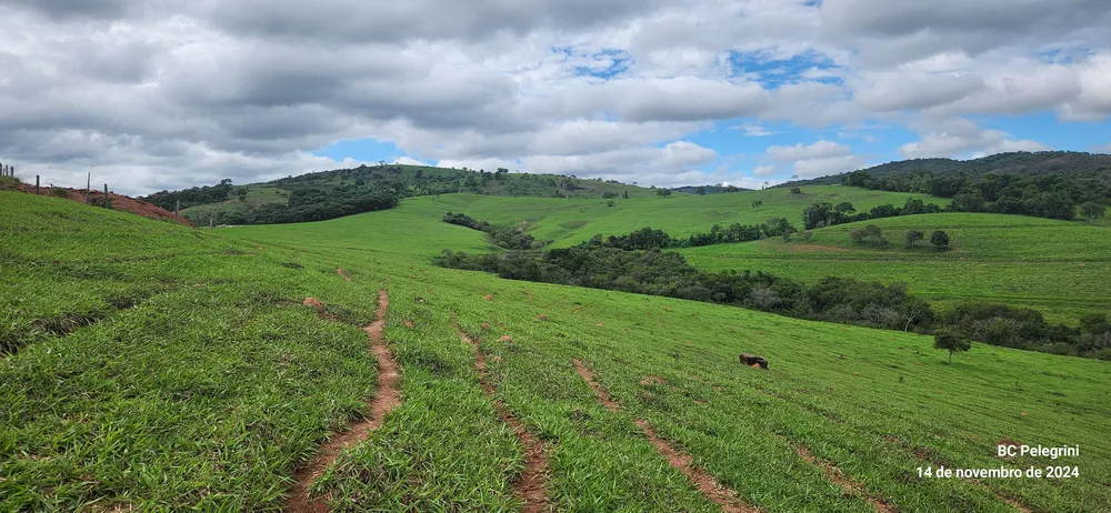 Fazenda, 3 quartos - Foto 4