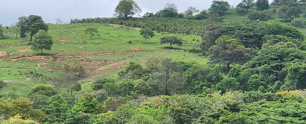 Fazenda, 3 quartos - Foto 11