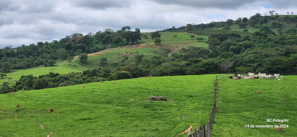 Fazenda, 3 quartos - Foto 7