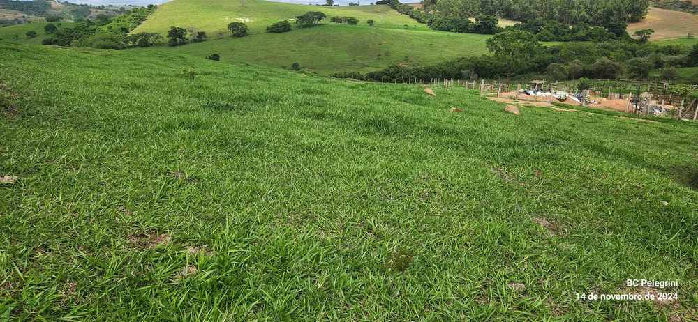 Fazenda, 3 quartos - Foto 24