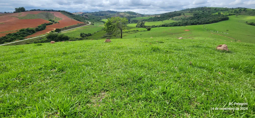 Fazenda, 3 quartos - Foto 13